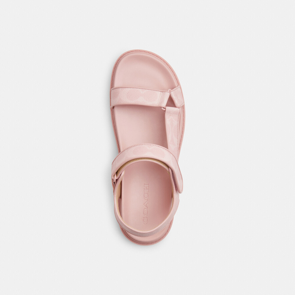 Coach Outlet Sport Sandal In Signature Canvas